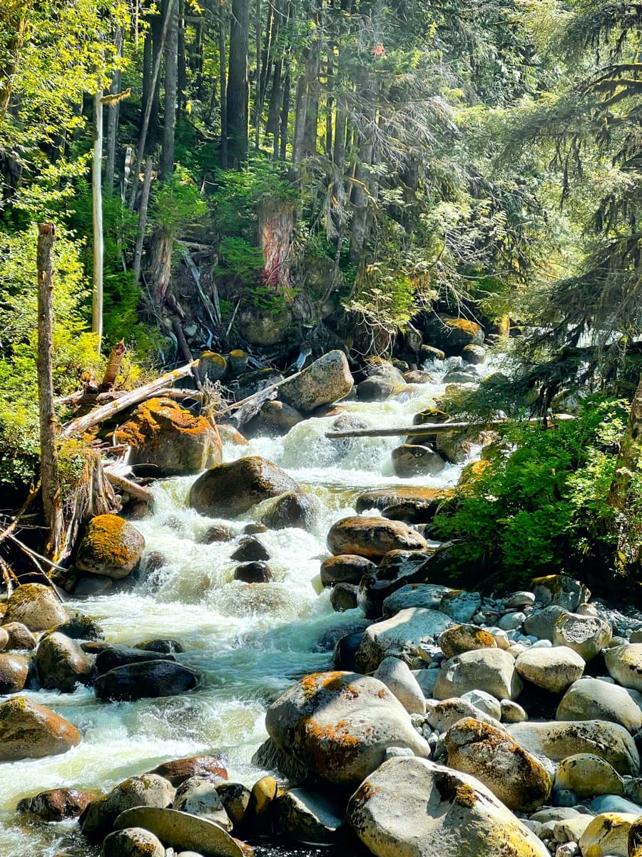 Photography by Jon Levesque