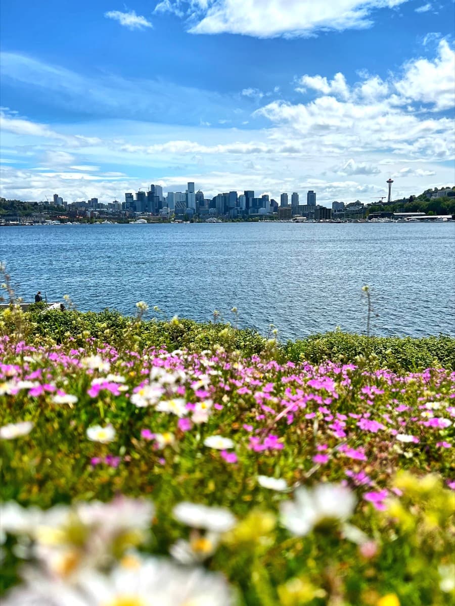 Photography by Jon Levesque