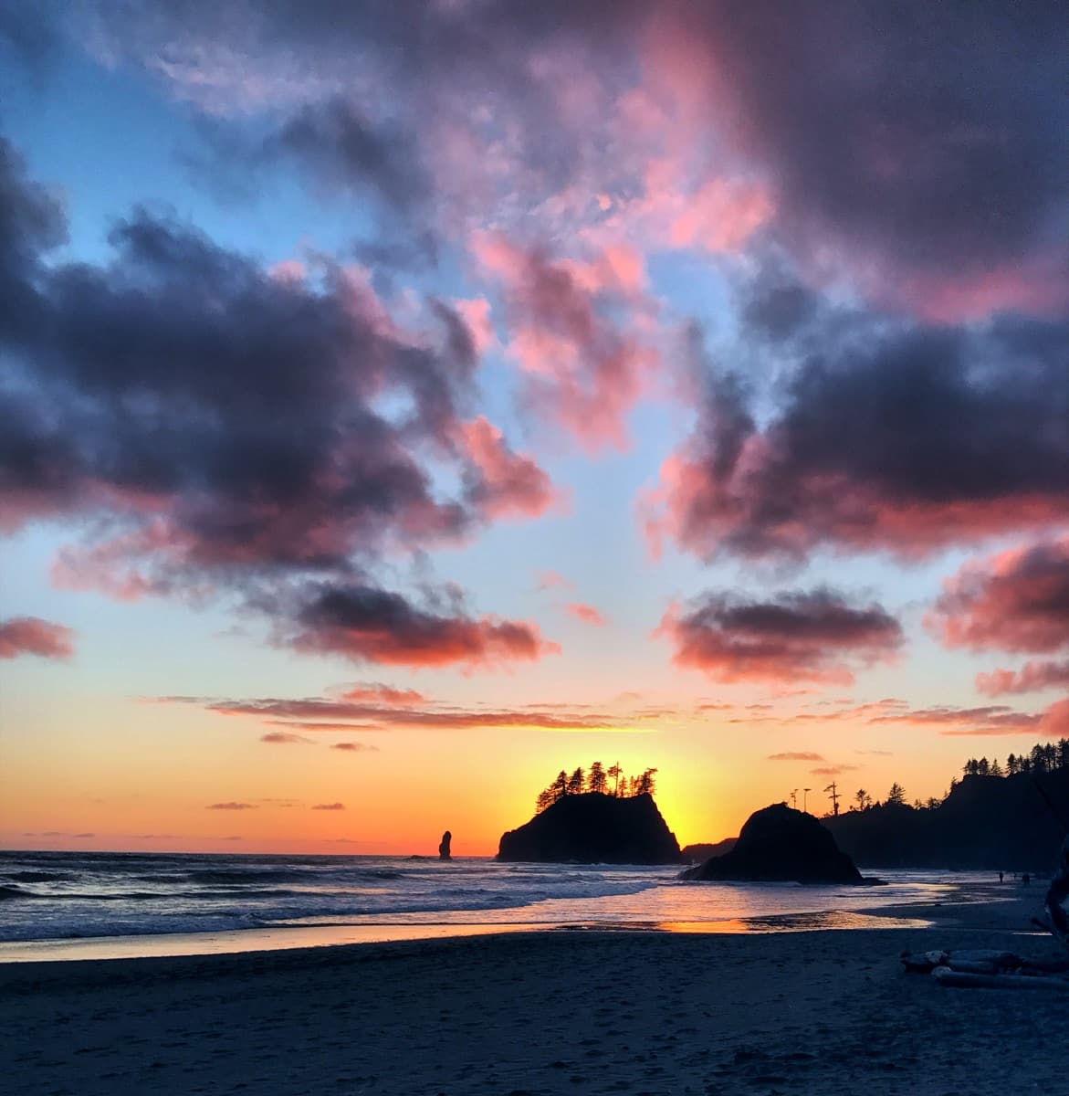 Photography by Jon Levesque