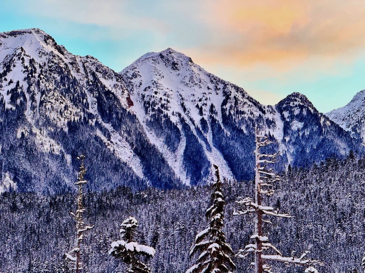 Photography by Jon Levesque