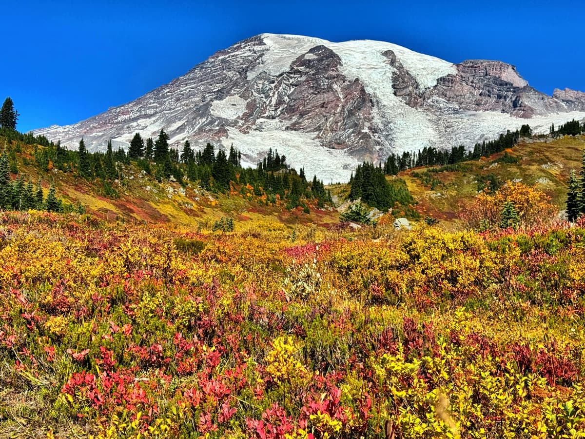 Photography by Jon Levesque