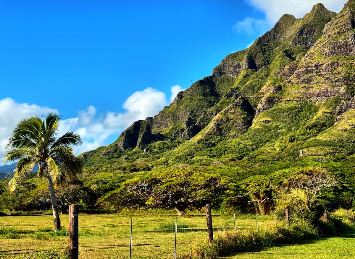 Photography by Jon Levesque