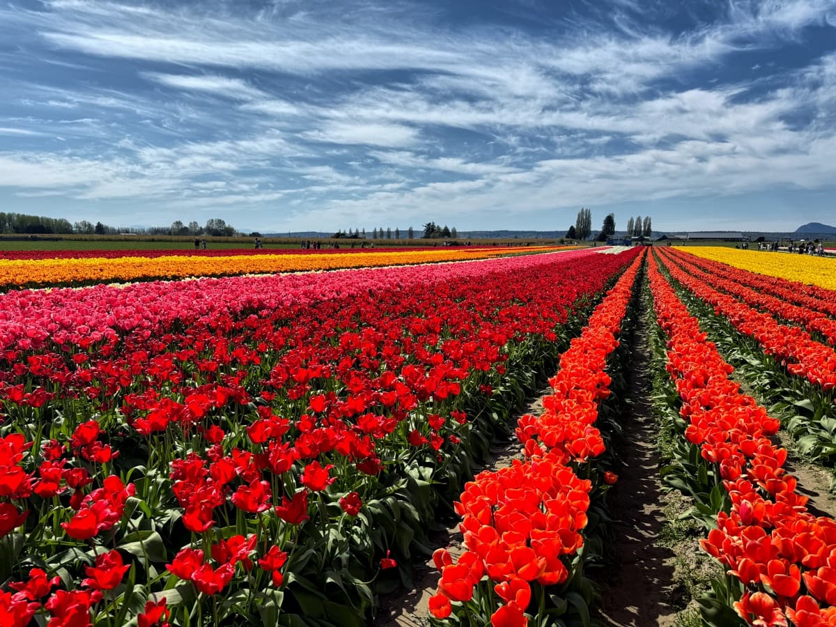 Photography by Jon Levesque