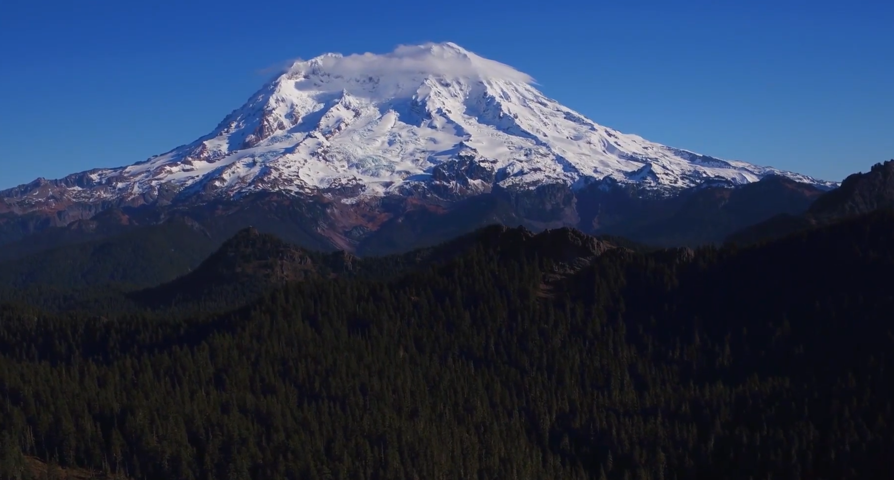 Washington Is Awesome